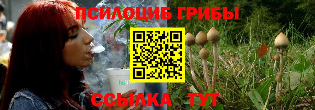 Ялуторовск  наркота  Вход с VPN  Галлюциногенные грибы Psilocybine cubensis 